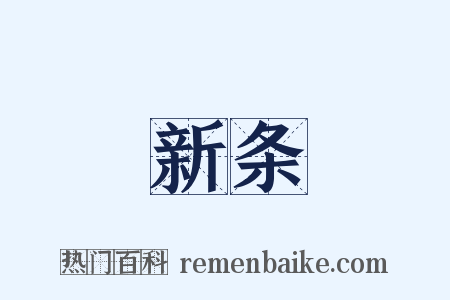 新条是什么意思的图片